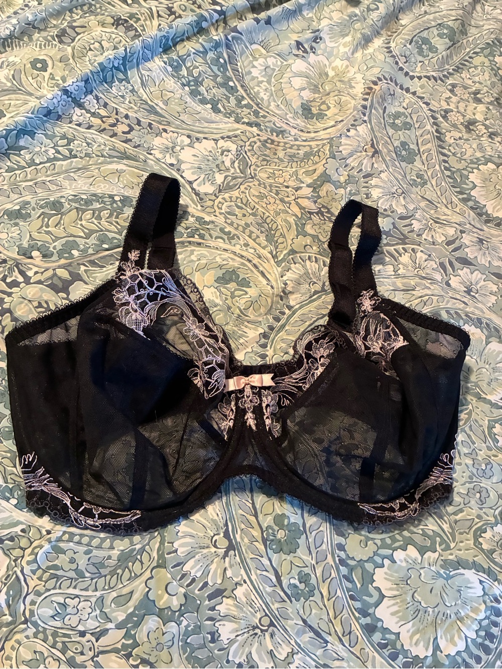 Sheer Black Fantasie Underwire Lace Bra Sz 34 GG with Embroidery